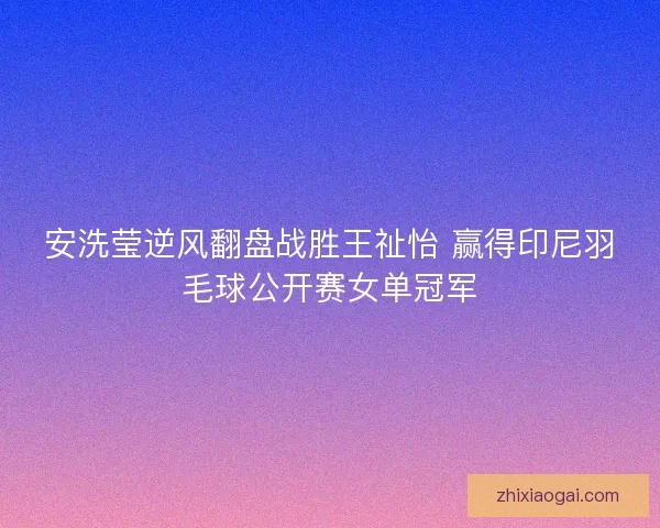 安洗莹逆风翻盘战胜王祉怡 赢得印尼羽毛球公开赛女单冠军