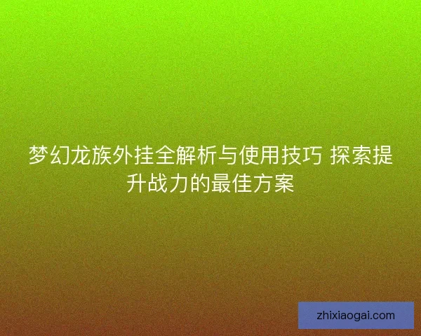 梦幻龙族外挂全解析与使用技巧 探索提升战力的最佳方案