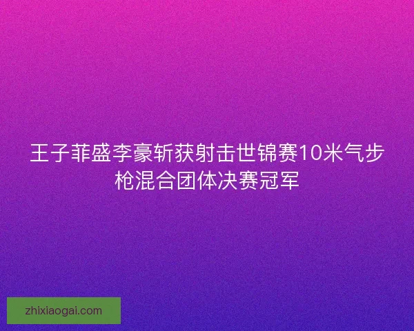 王子菲盛李豪斩获射击世锦赛10米气步枪混合团体决赛冠军 王子菲盛李豪斩获射击世锦赛10米气步枪混合团体决赛冠军